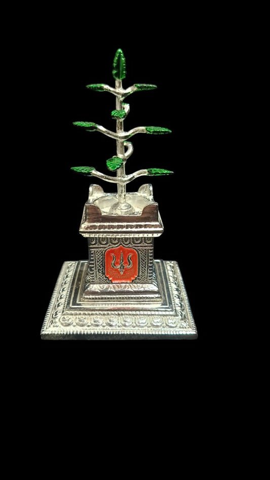 Tulsi ji ka paudha