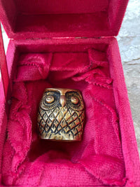 The Sacred Owl — Vahana of Goddess Lakshmi